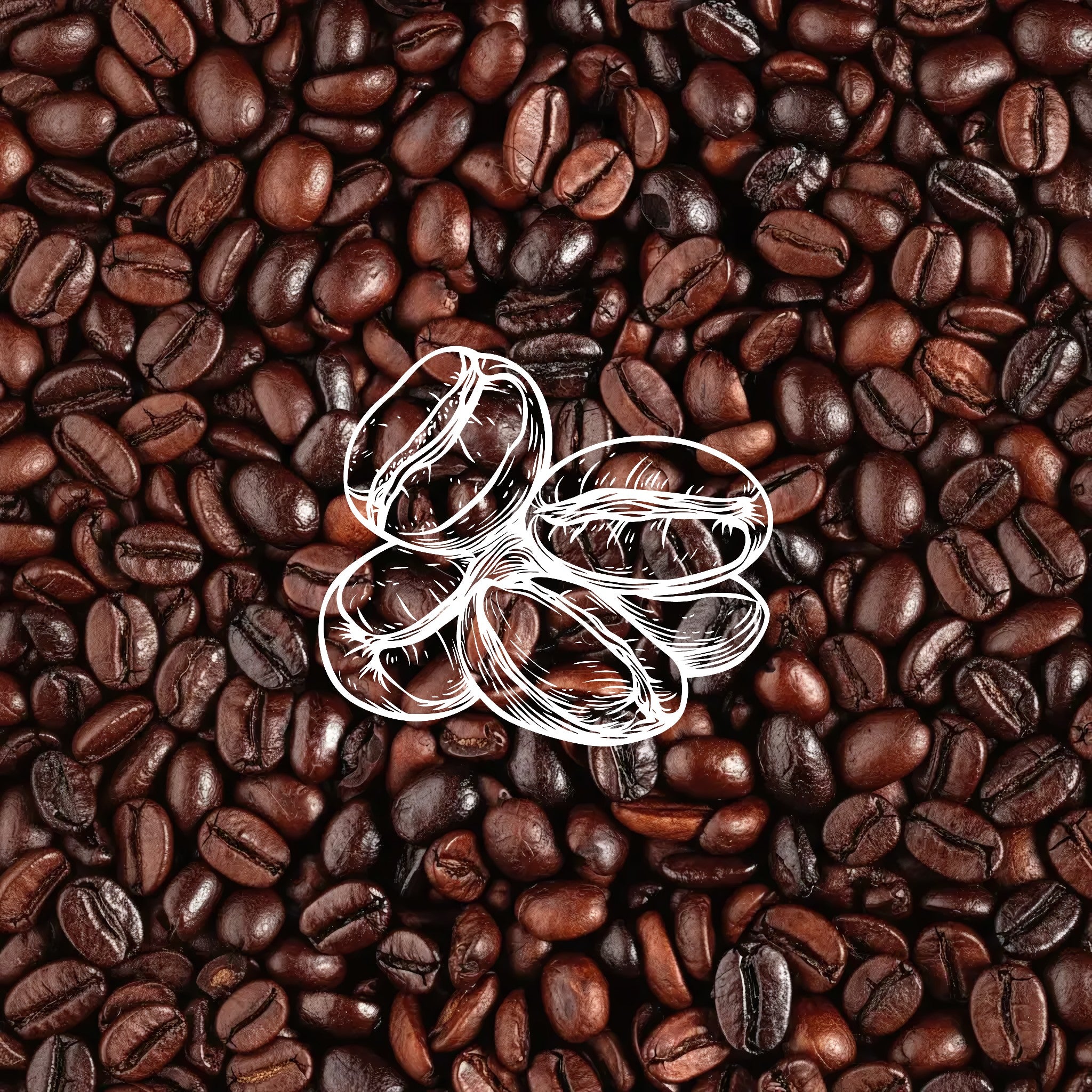 Overhead view of glossy roasted coffee beans with a central white sketch of coffee bean shapes, highlighting caffeine‑powered de‑puffing and energising benefits in Allnord eye and body care formulas.